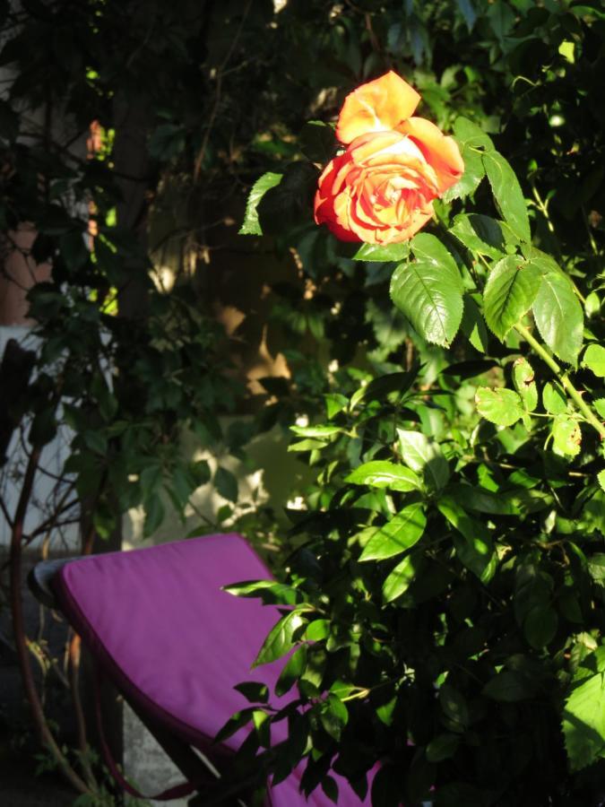 Nature'S Pace Holidays Montmaur  Exterior foto
