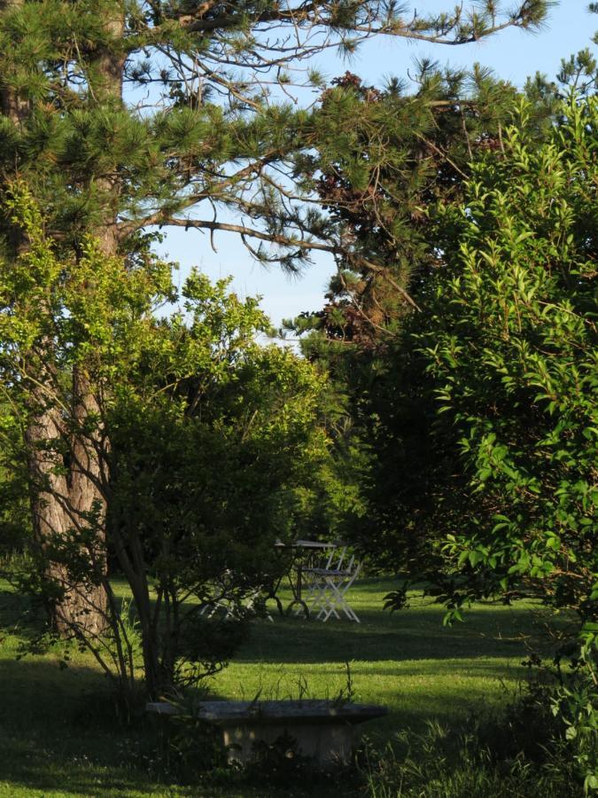 Nature'S Pace Holidays Montmaur  Exterior foto